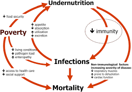 Malnutrition